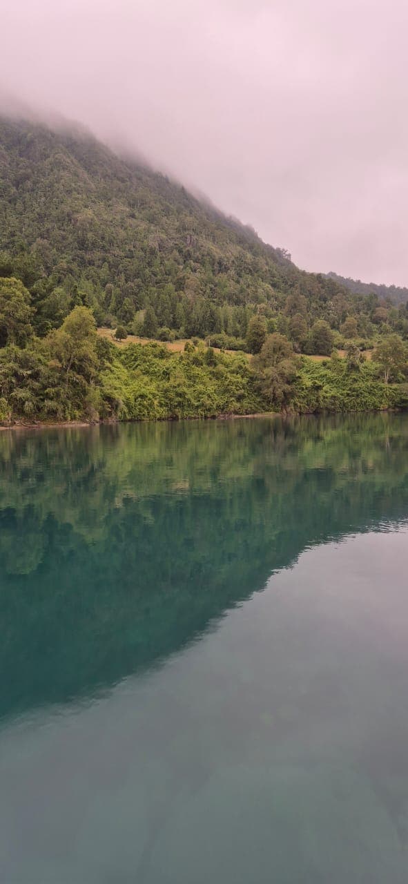 Río San Pedro con agua turquesa verde reflejando el bosque nativo